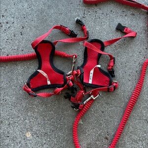 Red Cat Pet Harness and Leash Set